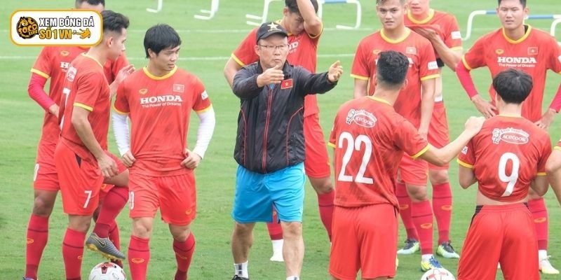 Dưới thời HLV Park Hang Seo đội tuyển Việt Nam có nhiều thành tích nổi bật